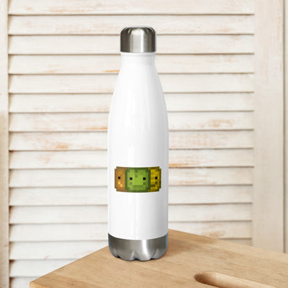 Stainless Steel Water Bottle